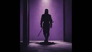 Ninja guerrero de las sombras