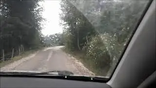 Aybastı Ormanlarında Yolculuk