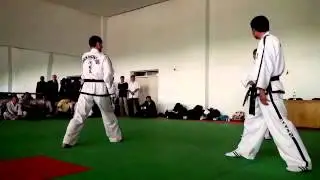 Do-San. Taekwon-do ITF. Seminar 2012.