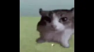 uʍop ǝpᴉsdn ɯᴉ ou ɥo
