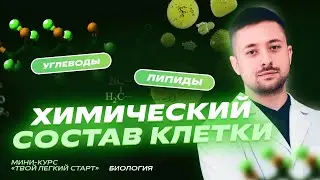 Химическое строение клетки: углеводы и липиды | Мини-курс «Твой легкий старт» | Биология ЕГЭ и ОГЭ