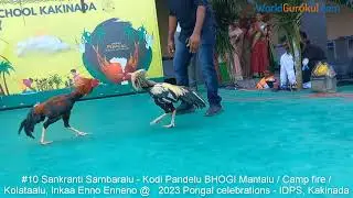 #10 Pongal Celebrations Kodi Pandelu, Kolataalu, Gangireddulatalu, Bhogi Mantalu at IDPS Kakinada