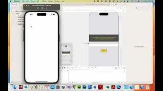 XCode: Basic Layout