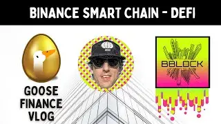 #Goose Finance - #BSC #DEFI Vlog - Best Binance Smart Chain DeFi Project