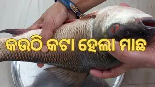 Fish Cutting Skill || ମାଛ କଟା କୌଶଳ #youtubevideo #fish