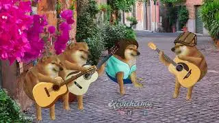 Contimgo