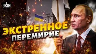 ⚡️Путин выполз с ЭКСТРЕННЫМ ПЕРЕМИРИЕМ. Терпение Киева и Вашингтона НА ИСХОДЕ: первая РЕАКЦИЯ