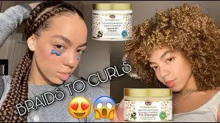 AFRICAN PRIDE REVIEW, I'M SHOOK - ANISHA TAYTELBAUM
