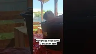 Брукляша в Джакузи 