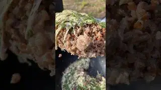 ЦАРСКАЯ КАША в казане на природе 