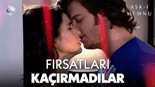 Bihter ve Behlül Evin Her Köşesini Değerlendiriyor! - Aşk-ı Memnu Özel Kolaj