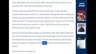 The Stove (Story)