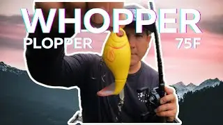 WHOPPER PLOPPER fishing! What’s Your Favorite Size? #whopperplopper #river2sea #largemouthbass