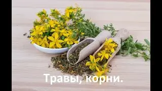 Травы и корни. Травы Беларуси.