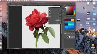 Selections and Layer Masks