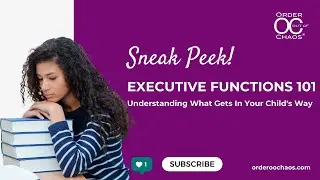 SNEAK PEEK - Executive Functions 101: Understanding What Gets In Your Child's Way
