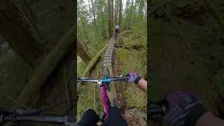Riding on Endor #freeride