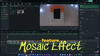 Mastering Mosaic Effect For Blur using Wondershare Filmora