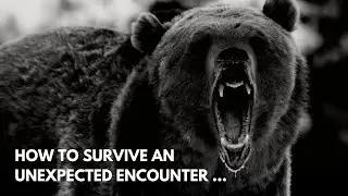 How to SURVIVE an UNEXPECTED ANIMAL ENCOUNTER