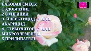 БАКОВАЯ СМЕСЬ для РОЗ