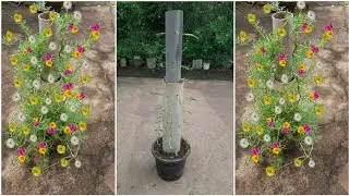 Beautiful portulaca (mossrose) planting tower with recycle PVC pipe 😍| Diy ideas💡
