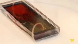 Catching Cancer Cells