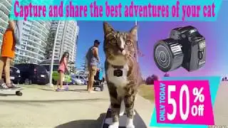 Mini Collar Camera for Cat Dog and other Pets