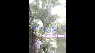 nag tuba ako ng saging