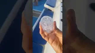 Deep Sea Deep Stroker 8