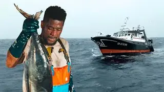 La Réalité méconnue de la Pêche au Thon