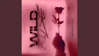 Wild Rose