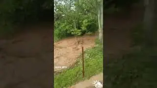 Қашқадарё вилояти Шаҳрисабз тумани Пастдектор қишлоғига келган сел. #яккабоғ #shahrisabz #alochi