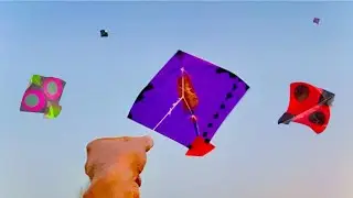 kite catching from trees | kite catching new tricks | kite catching |
