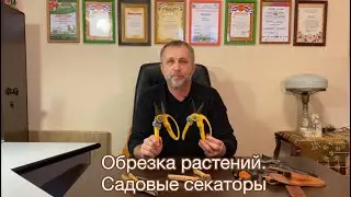 Секатор садовый
