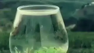 Сув ичиш хакида