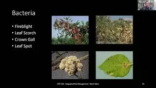 Plant Disease Identification & Life Cycle
