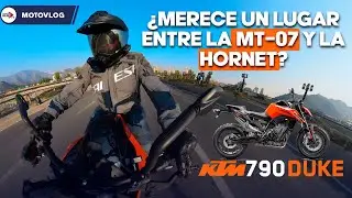 ¡Digna rival!  🔶 KTM 790 Duke 2024 | Review moto a diario