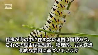 There are multiple reasons why insects cannot live in the ocean. Dr. Hidenobu Toriyoshi, Ph.D, DVM