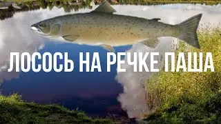 Русская рыбалка 3 речка Паша ловля лосося