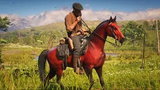 THE BEST HORSES! - Red Dead Redemption 2