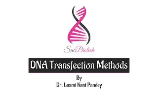 DNA Transfection Methods