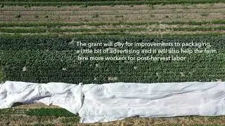 Video: Winter Kissed Farm wins $180K grant