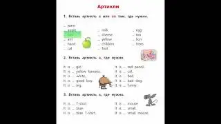 Lesson 3. Module 8. A/An - Some/Any. Excel Kazakhstan Grade 5.