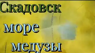 Отдых на чёрном море / Скадовск / медузы