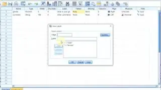 S01E04-1-1 SPSS Basics - The Variable View