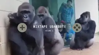 MIXTAPE UBARBETE VOLUME 1