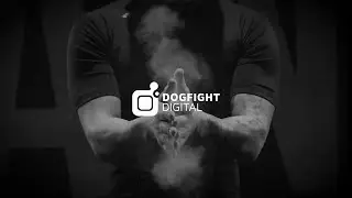 Dogfight Digital