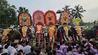 ഇടയ്ക്ക് കയറി ഒരു പിടുത്തം ഉണ്ട് 👌 #kerala #elephant
