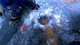 ТОННЫ РЫБЫ НА ВИДЕО!!  ВОТ ЭТО РЫБИНА НЕ ЛЕЗЕТ В ЛУНКУ  рыбалка зимой 2020
