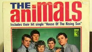 Animals - "I've Been Around"